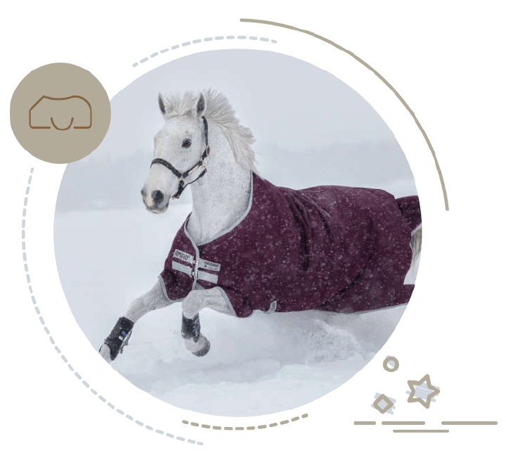 Keyvisual Eindecken Einstiegsbanner